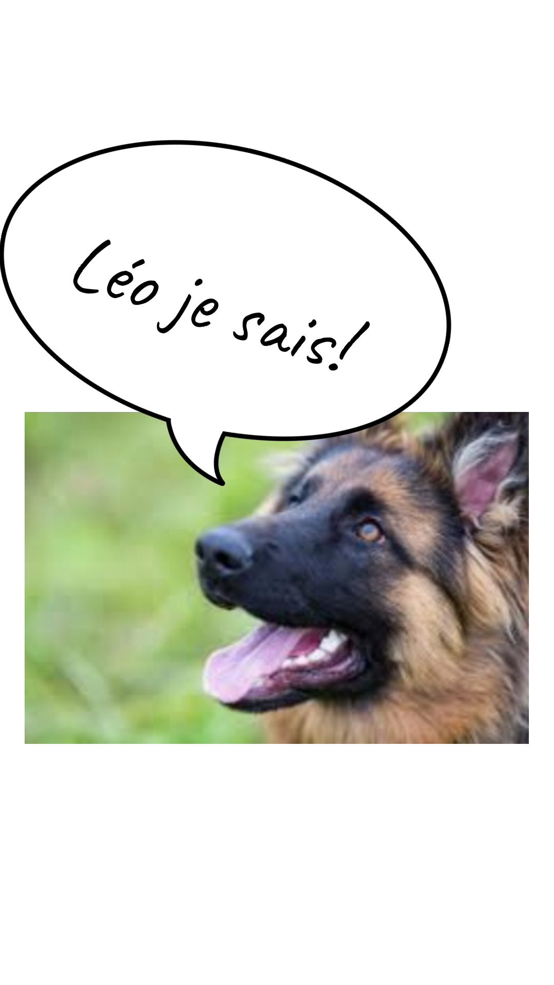Image de la BD