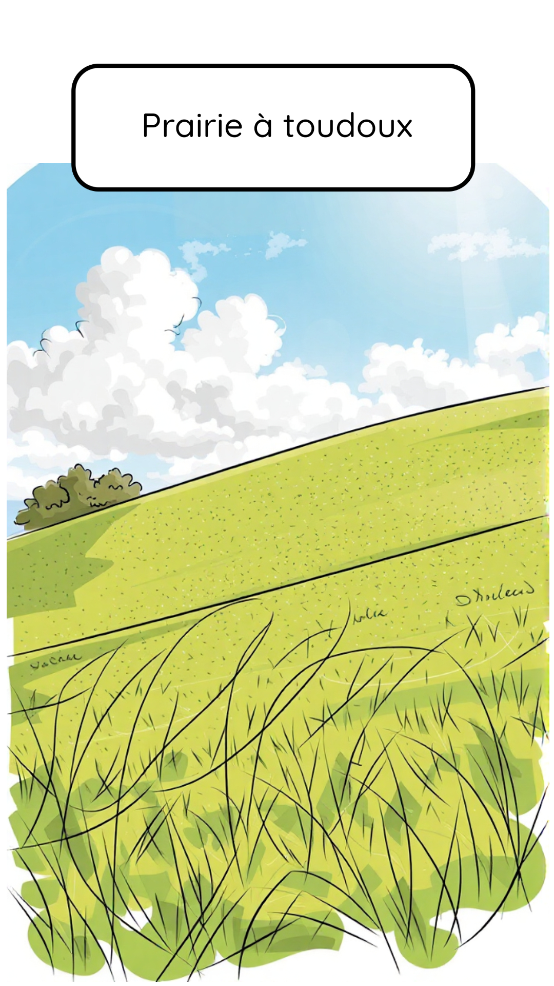 Image de la BD