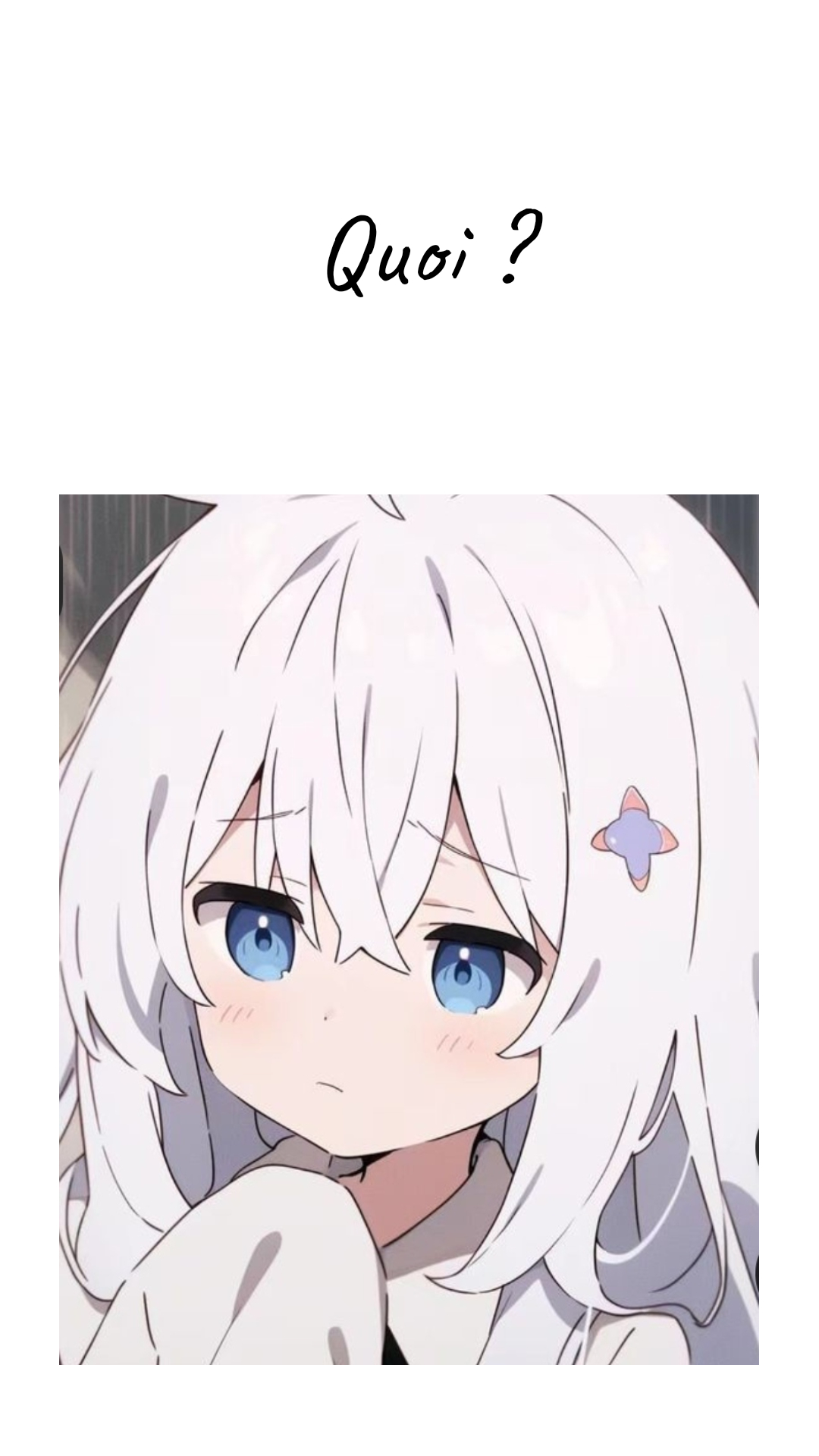 Image de la BD