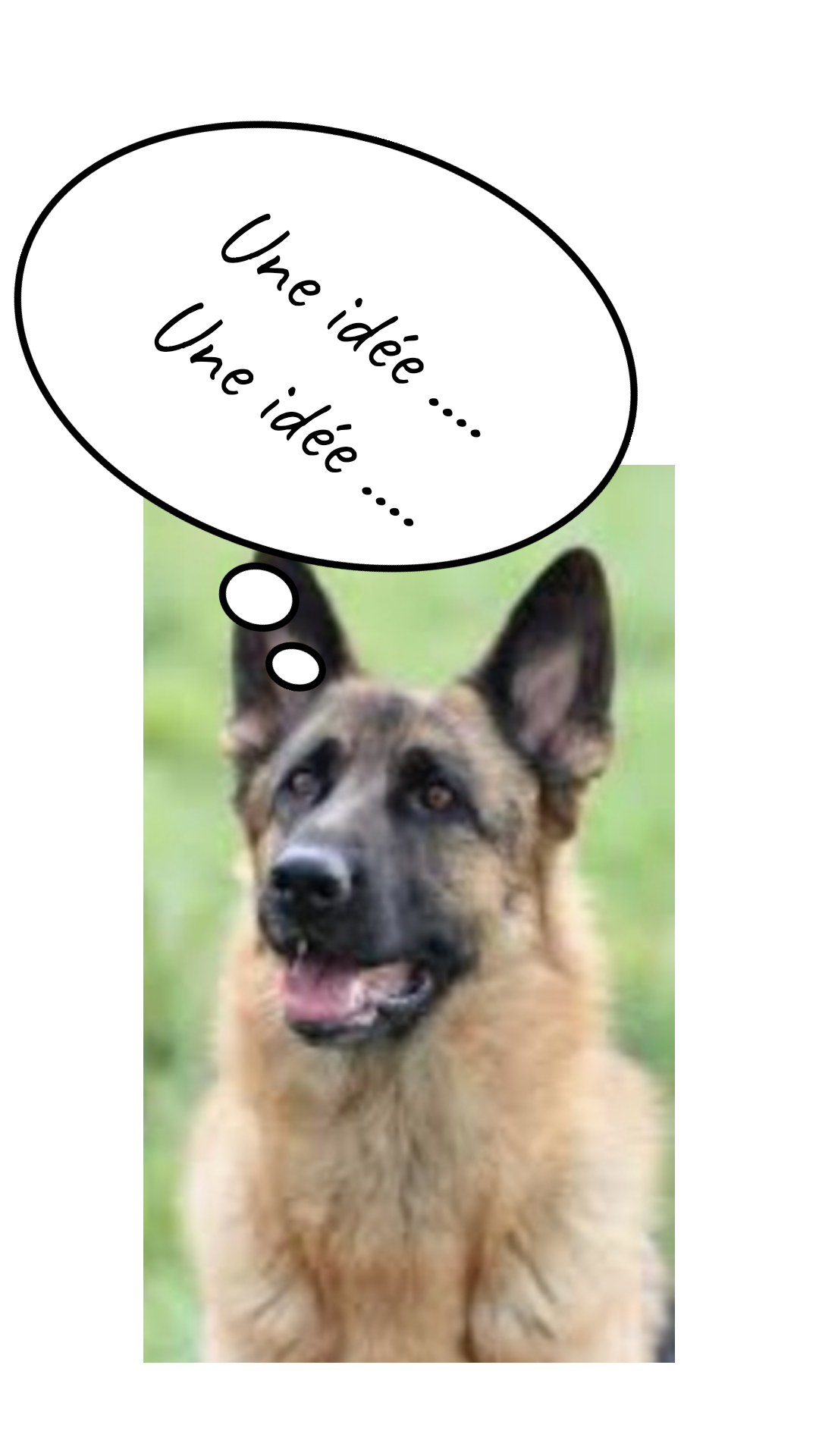 Image de la BD