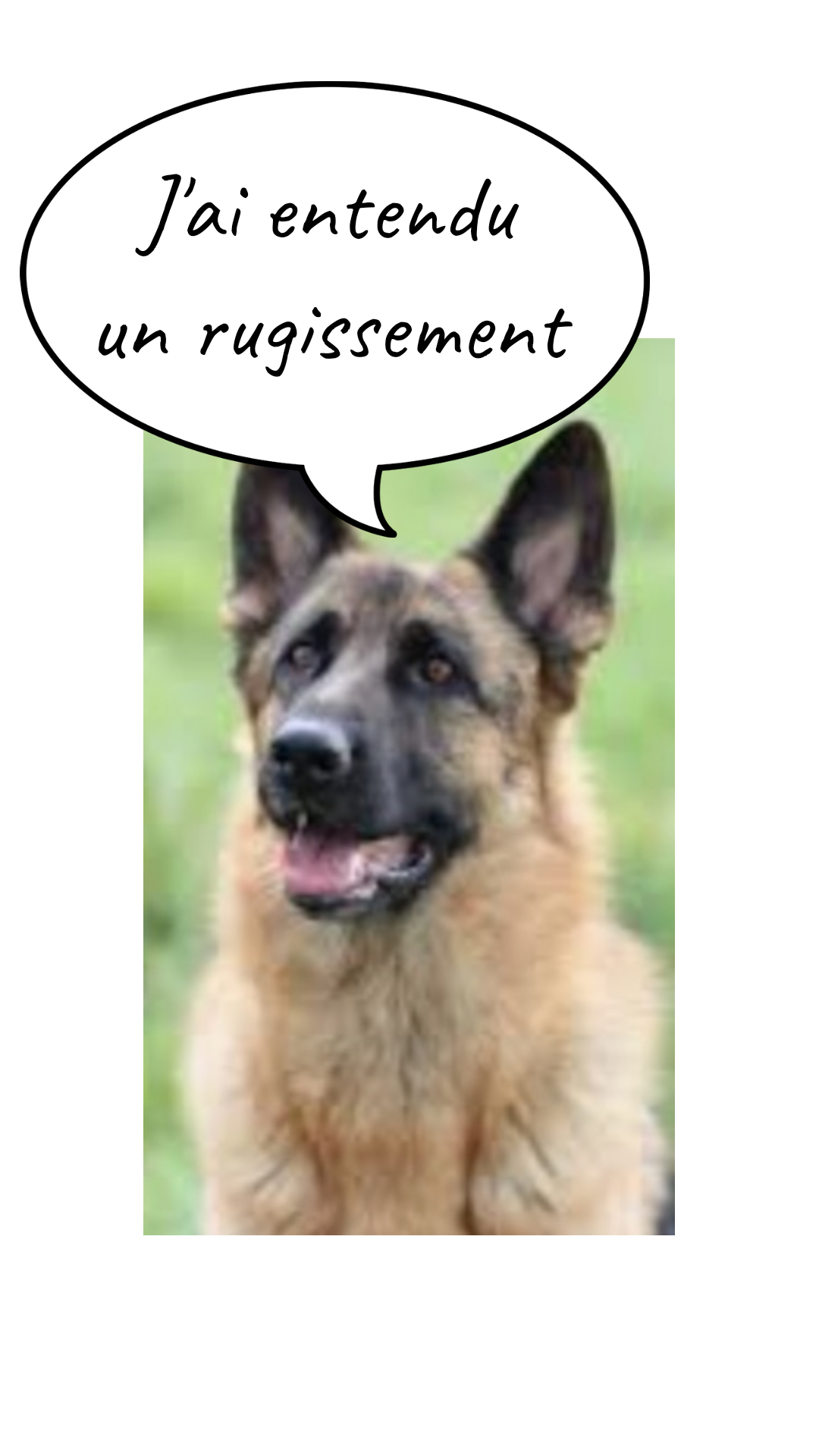 Image de la BD