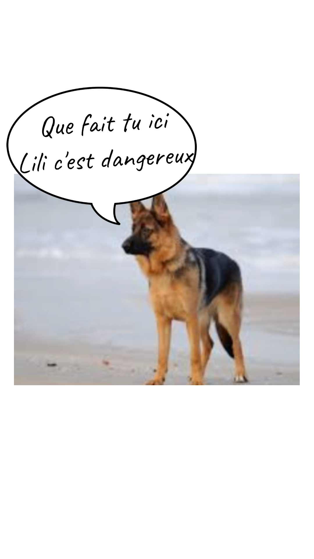 Image de la BD