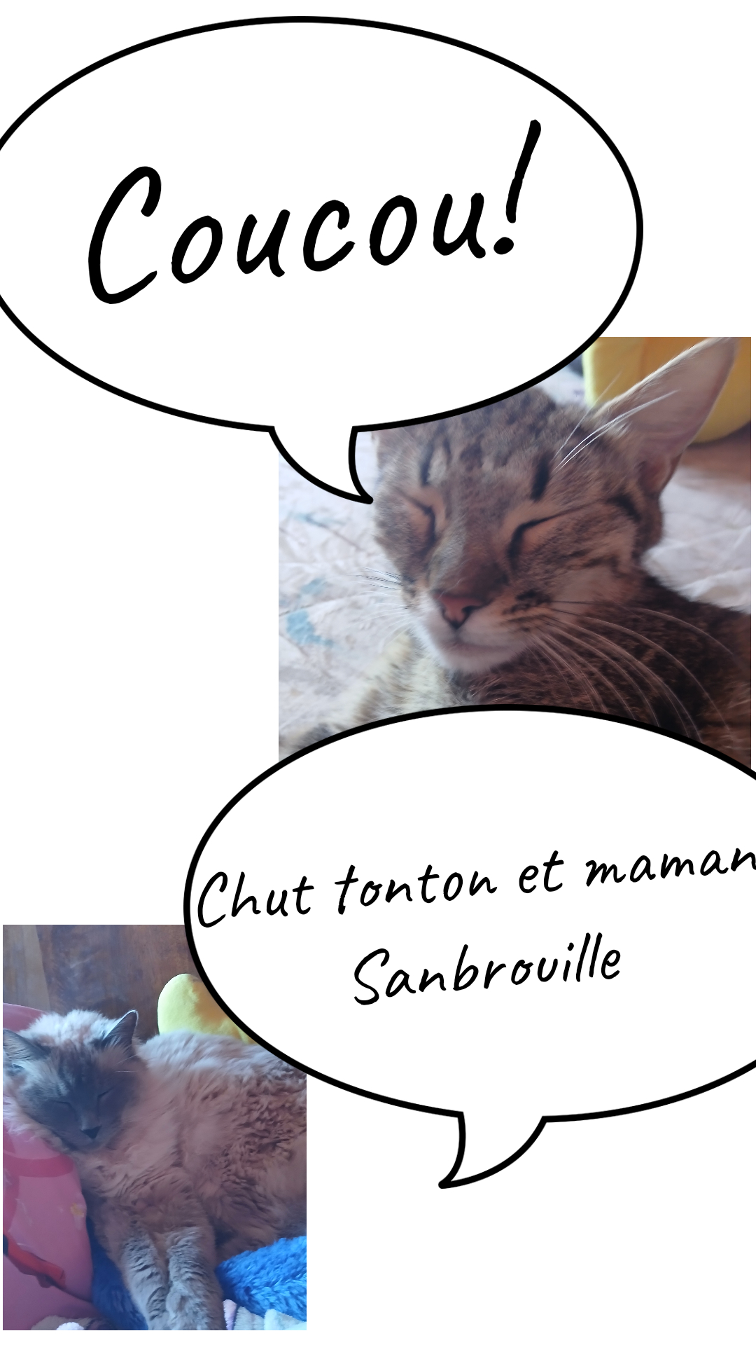 Image de la BD