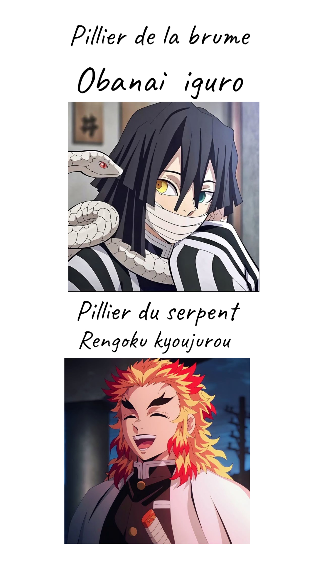 Image de la BD