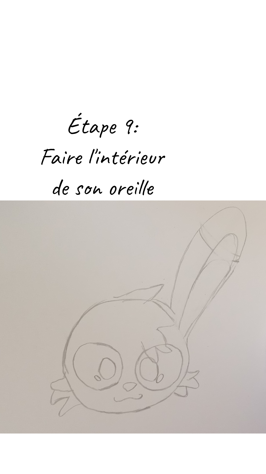 Image de la BD