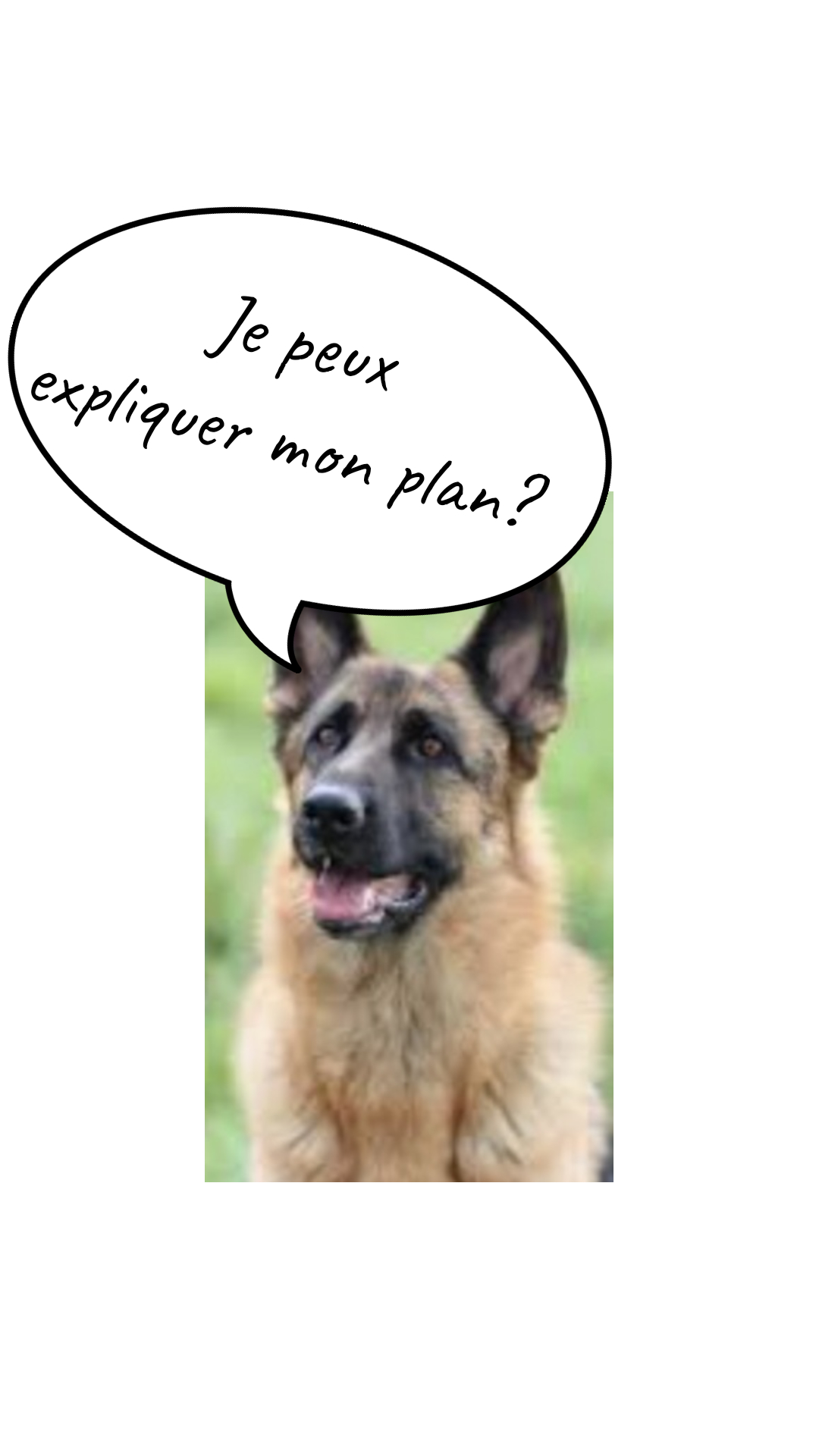 Image de la BD