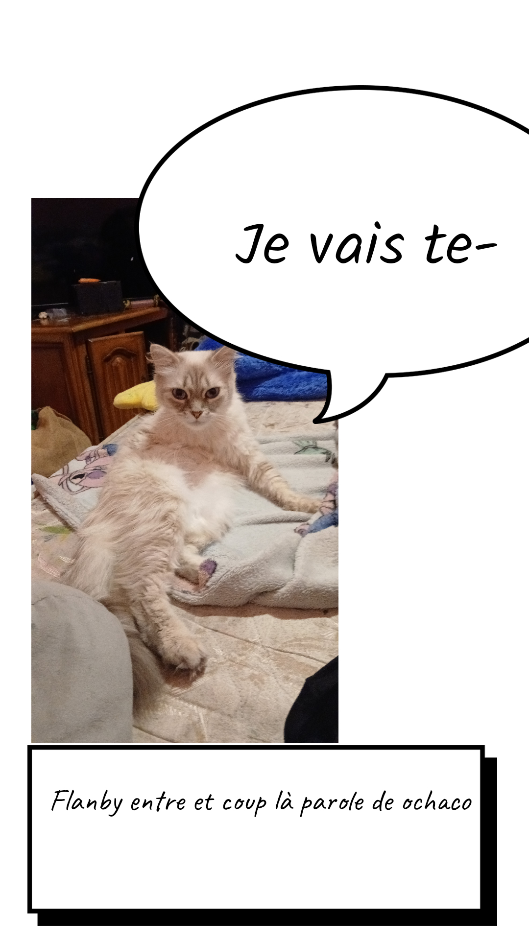 Image de la BD