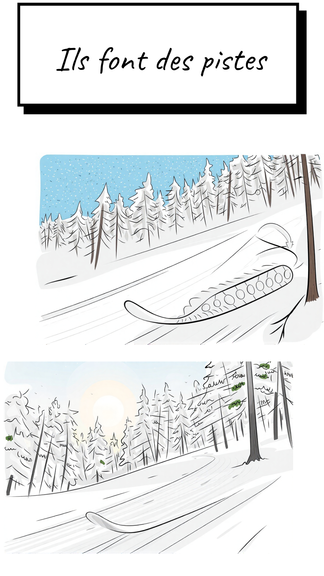 Image de la BD