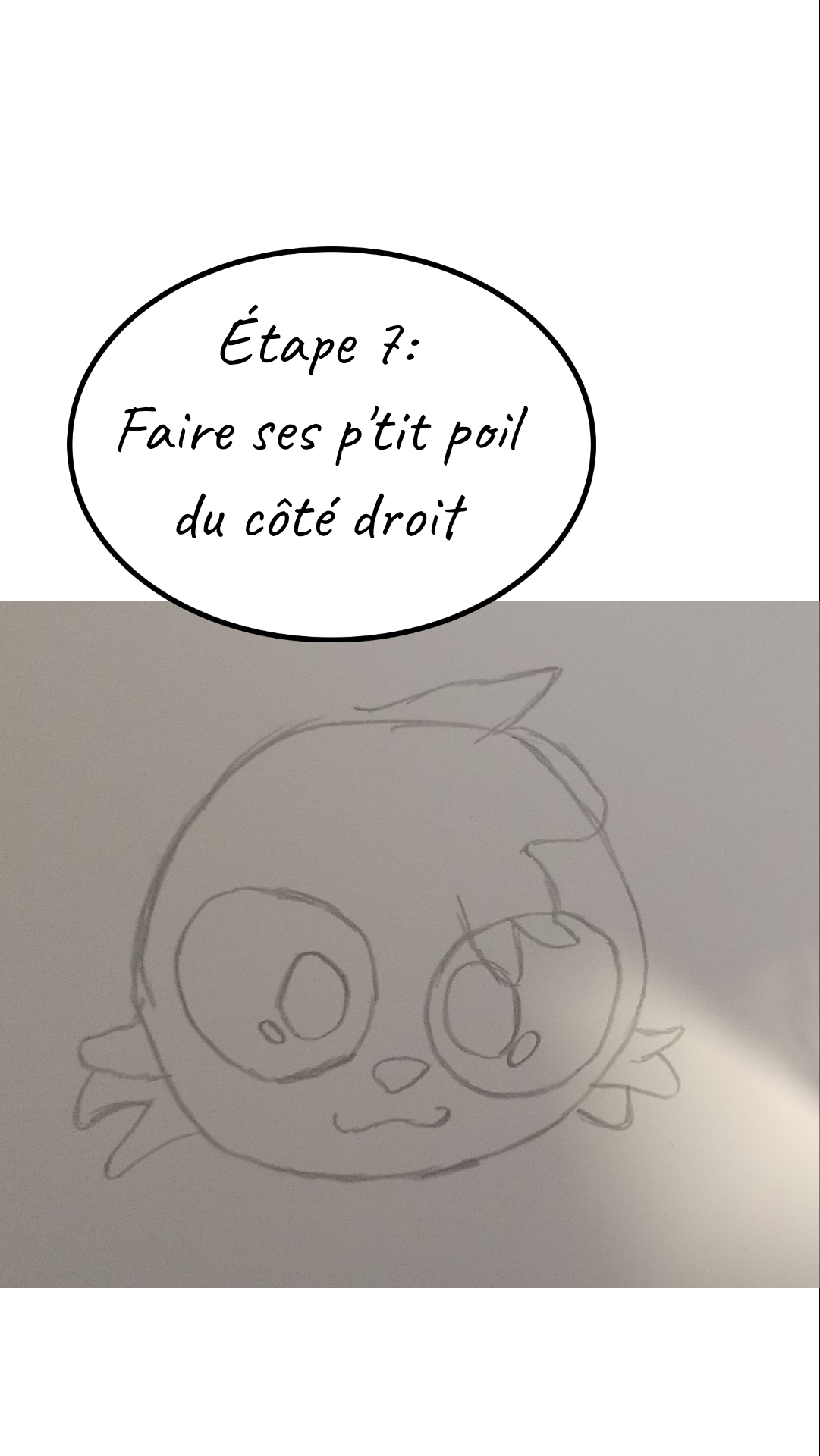Image de la BD