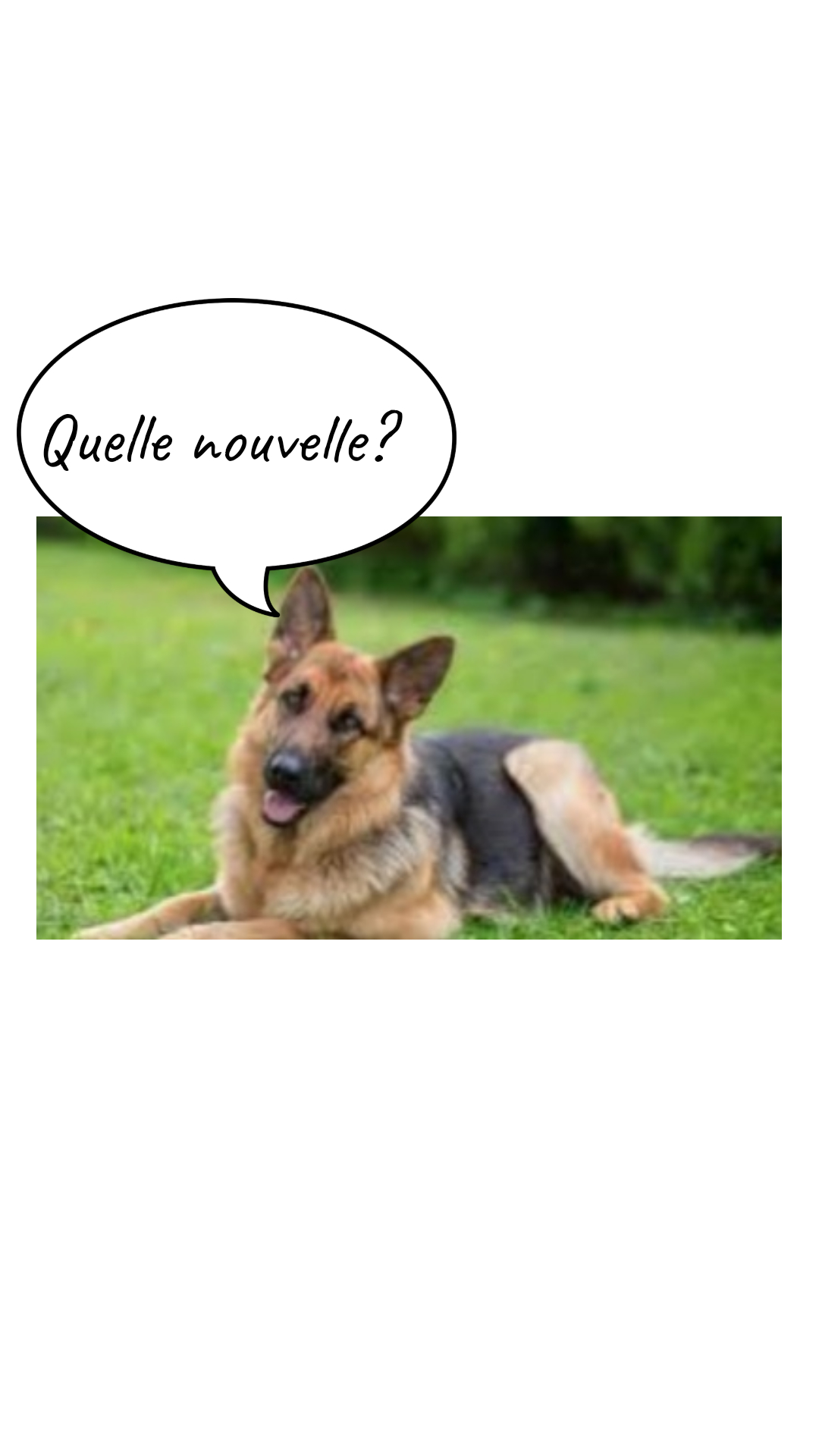 Image de la BD
